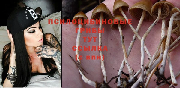 винт Балабаново
