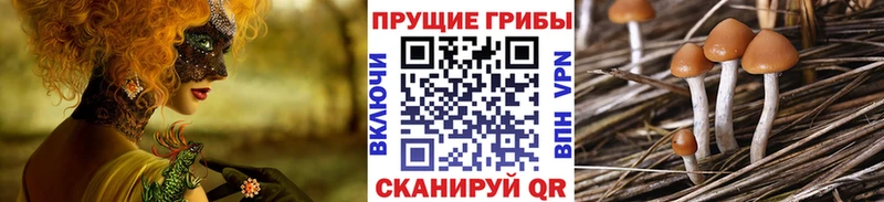 Псилоцибиновые грибы MAGIC MUSHROOMS Ярцево